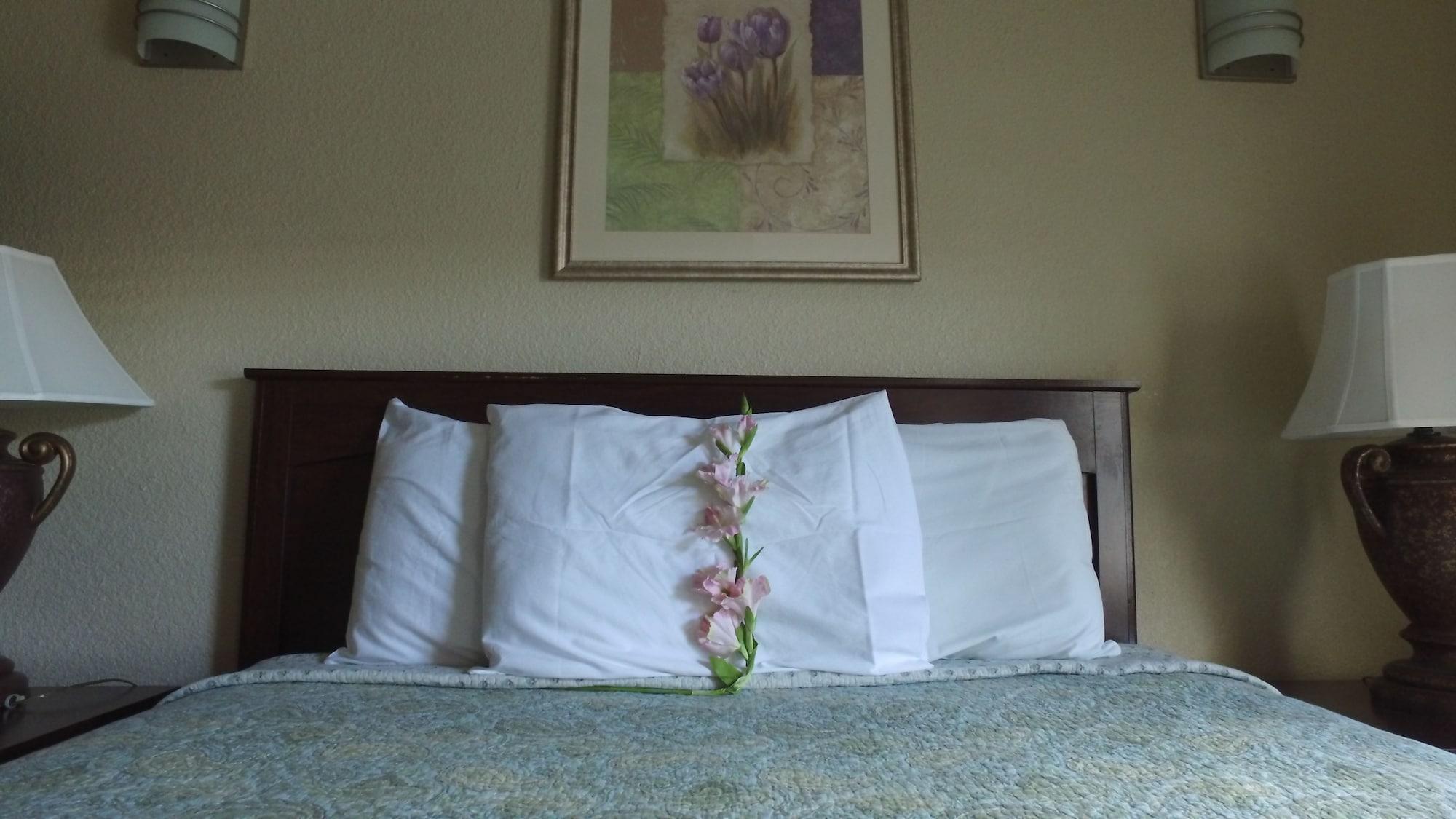 Athens Hotel & Suites Х'юстон Екстер'єр фото